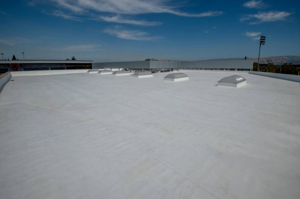Best Solar Panel Roofing Installation  in Burbank, IL
