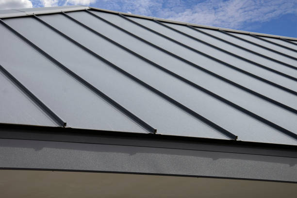 Best Roof Maintenance and Cleaning  in Burbank, IL