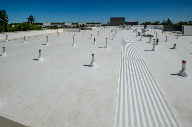 Best Roof Repair  in Burbank, IL